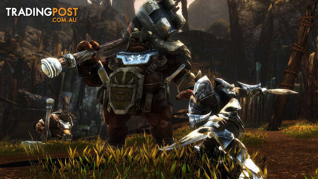 Kingdoms of Amalur: Re-Reckoning (Xbox One) - THQ Nordic - Xbox One Software GTIN/EAN/UPC: 9120080076076 - photo 5 of 5