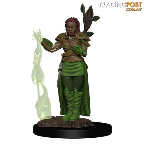 Dungeons & Dragons Human Female Druid Premium Figure - WizKids - Tabletop Role Playing Game GTIN/EAN/UPC: 634482930090