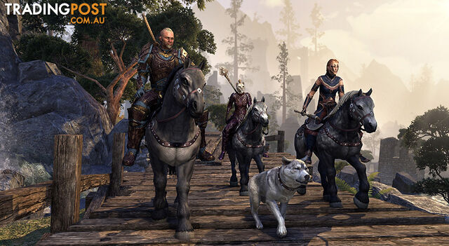 The Elder Scrolls Online: Morrowind [Pre-Owned] (PS4) - Bethesda Softworks - P/O PS4 Software GTIN/EAN/UPC: 5055856413943 - photo 4 of 5