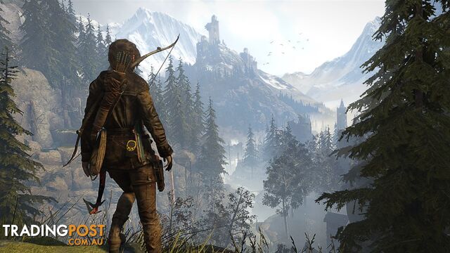Rise of the Tomb Raider 20th Year Celebration [Pre-Owned] (PS4) - Square Enix - P/O PS4 Software GTIN/EAN/UPC: 5021290074835 - photo 4 of 5