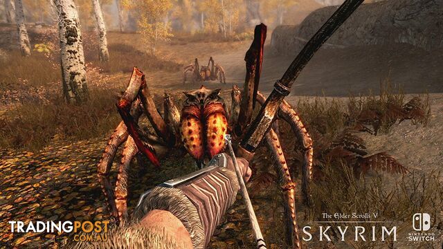 The Elder Scrolls V: Skyrim (Switch) - Bethesda Softworks SWITESVSKYRIM - Switch Software GTIN/EAN/UPC: 9318113986151 - photo 2 of 9