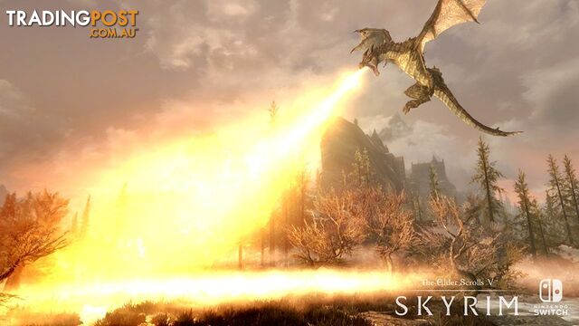 The Elder Scrolls V: Skyrim (Switch) - Bethesda Softworks SWITESVSKYRIM - Switch Software GTIN/EAN/UPC: 9318113986151 - photo 5 of 9