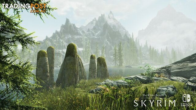 The Elder Scrolls V: Skyrim (Switch) - Bethesda Softworks SWITESVSKYRIM - Switch Software GTIN/EAN/UPC: 9318113986151 - photo 3 of 9