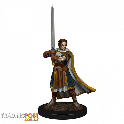 Dungeons & Dragons Premium Male Human Cleric Pre-Painted Figure - WizKids - Tabletop Role Playing Game GTIN/EAN/UPC: 634482930236