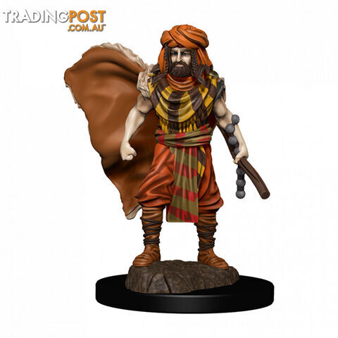 Dungeons & Dragons Premium Male Human Druid Pre-Painted Figure - WizKids - Tabletop Role Playing Game GTIN/EAN/UPC: 634482930311
