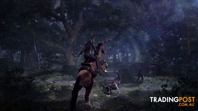 The Witcher 3: Wild Hunt [Pre-Owned] (PS4) - Bandai Namco Entertainment - P/O PS4 Software GTIN/EAN/UPC: 9324567014326 - photo 4 of 7