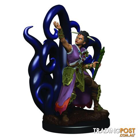 Dungeons & Dragons Premium Female Human Warlock Pre-Painted Figure - WizKids - Tabletop Role Playing Game GTIN/EAN/UPC: 634482930182