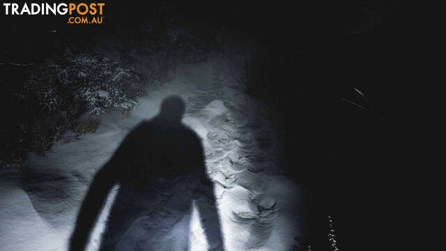 Resident Evil Village (PS4) - Capcom - PS4 Software GTIN/EAN/UPC: 5055060901953 - photo 5 of 8