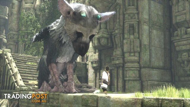 The Last Guardian [Pre-Owned] (PS4) - Sony Interactive Entertainment - P/O PS4 Software GTIN/EAN/UPC: 711719838555 - photo 4 of 6