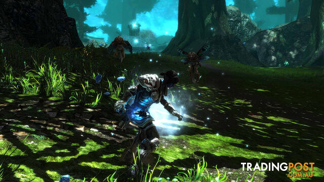 Kingdoms of Amalur: Re-Reckoning (PS4) - THQ Nordic - PS4 Software GTIN/EAN/UPC: 9120080076021 - photo 5 of 5