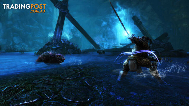 Kingdoms of Amalur: Re-Reckoning (PS4) - THQ Nordic - PS4 Software GTIN/EAN/UPC: 9120080076021 - photo 3 of 5