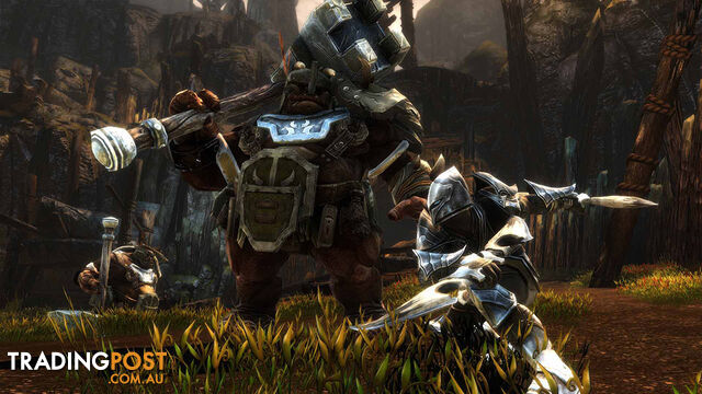 Kingdoms of Amalur: Re-Reckoning (PS4) - THQ Nordic - PS4 Software GTIN/EAN/UPC: 9120080076021 - photo 4 of 5