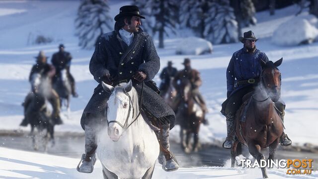 Red Dead Redemption 2 (PS4) - Rockstar Games PS4RD17 - PS4 Software GTIN/EAN/UPC: 5026555423120 - photo 4 of 9