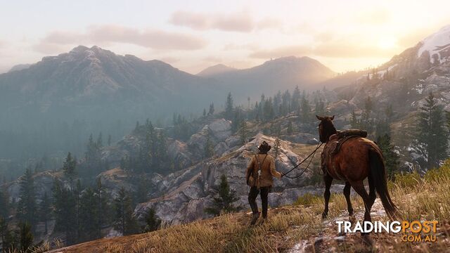Red Dead Redemption 2 (PS4) - Rockstar Games PS4RD17 - PS4 Software GTIN/EAN/UPC: 5026555423120 - photo 3 of 9