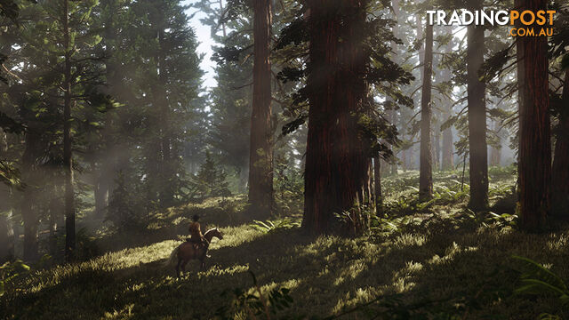 Red Dead Redemption 2 [Pre-Owned] (PS4) - Rockstar Games - P/O PS4 Software GTIN/EAN/UPC: 5026555423120 - photo 5 of 9