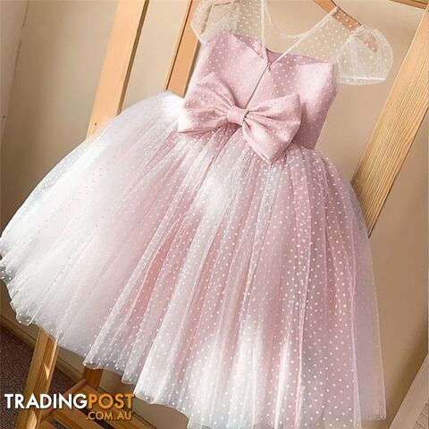 01 Pink / 4TZippay Girls Princess Kids Dresses for Girls Tutu Lace Flower Embroidered Ball Gown Baby Girls Clothes Children Wedding Party Dress