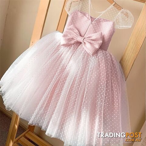 01 Pink / 5Zippay Girls Princess Kids Dresses for Girls Tutu Lace Flower Embroidered Ball Gown Baby Girls Clothes Children Wedding Party Dress
