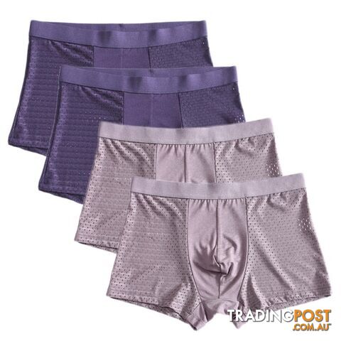 Blue Bre / 5XLZippay 4pcs/lot Bamboo Fiber Boxer Pantie Underpant plus size shorts breathable underwear