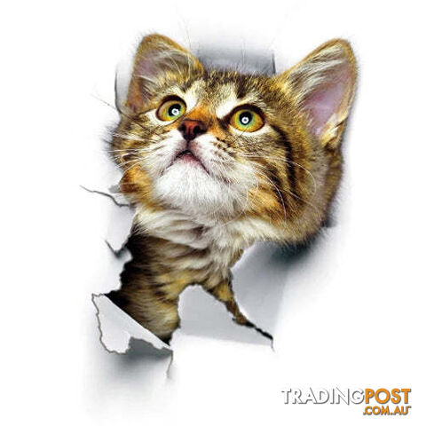 cat6Zippay Cats 3D Wall Sticker Toilet Stickers Hole View Vivid Dogs Bathroom For Home Decoration Animals Vinyl Decals Art Wallpaper Poster