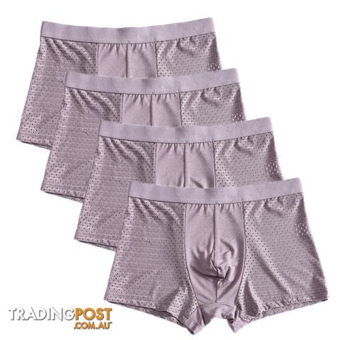Gary / 5XLZippay 4pcs/lot Bamboo Fiber Boxer Pantie Underpant plus size shorts breathable underwear