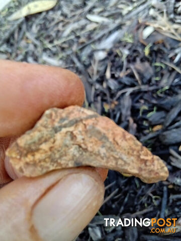 Kalgoorlie GOLD in Quartz