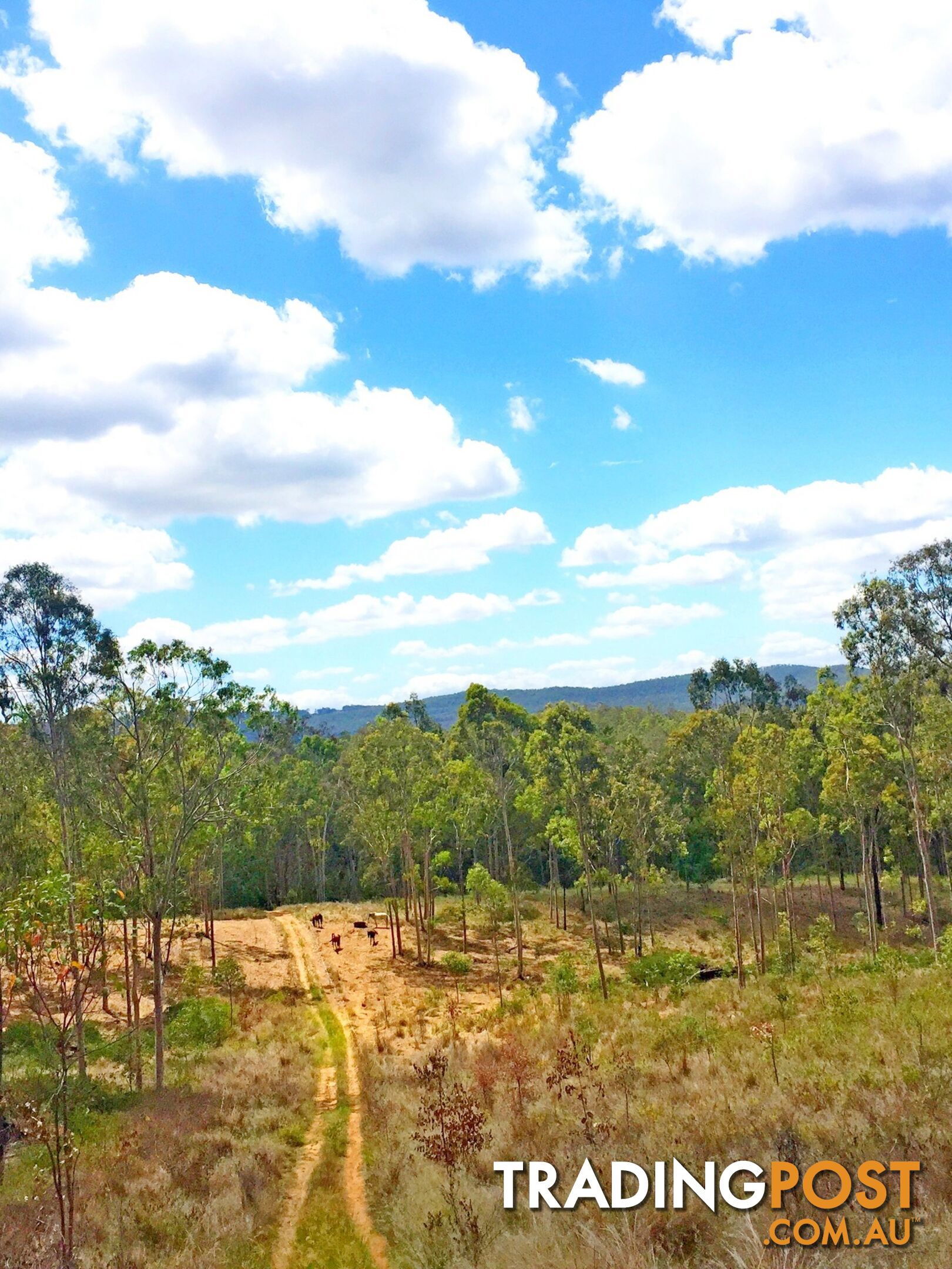 Lot PINNACLE RISE ESTATE/49-115 Green Gully Road UPPER LOCKYER QLD 4352