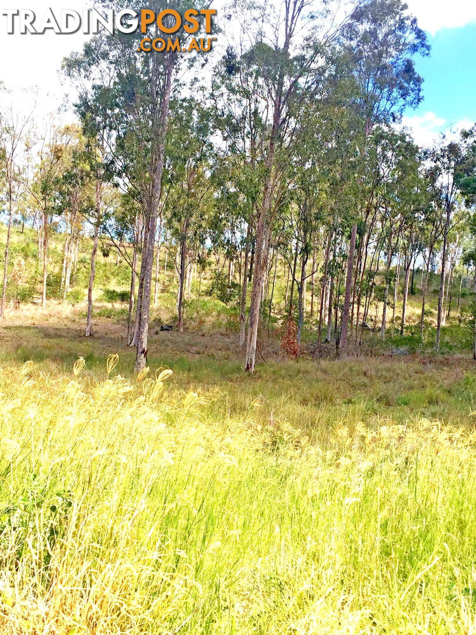 Lot PINNACLE RISE ESTATE/49-115 Green Gully Road UPPER LOCKYER QLD 4352