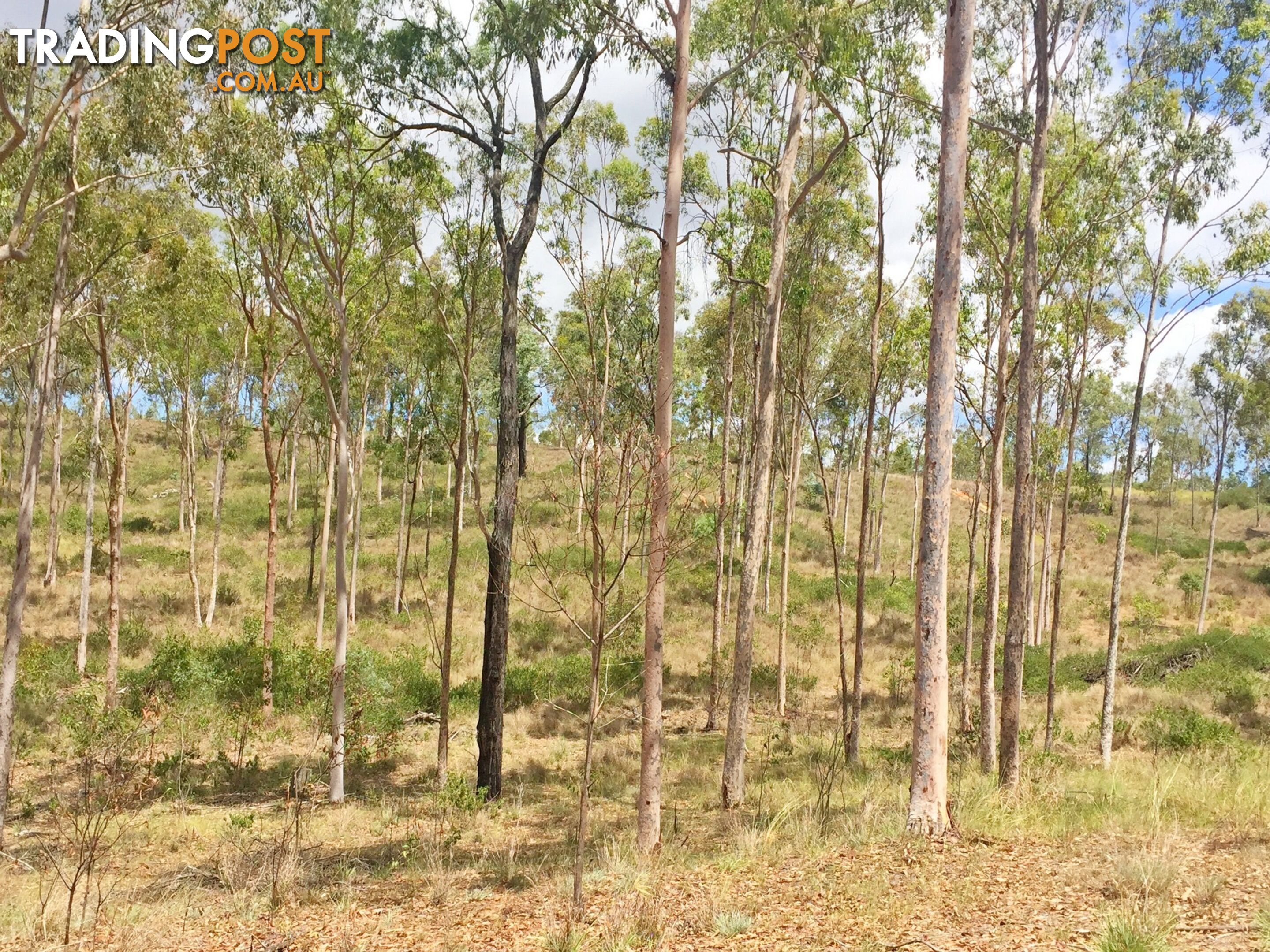 Lot PINNACLE RISE ESTATE/49-115 Green Gully Road UPPER LOCKYER QLD 4352