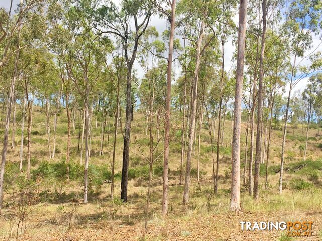 Lot PINNACLE RISE ESTATE/49-115 Green Gully Road UPPER LOCKYER QLD 4352