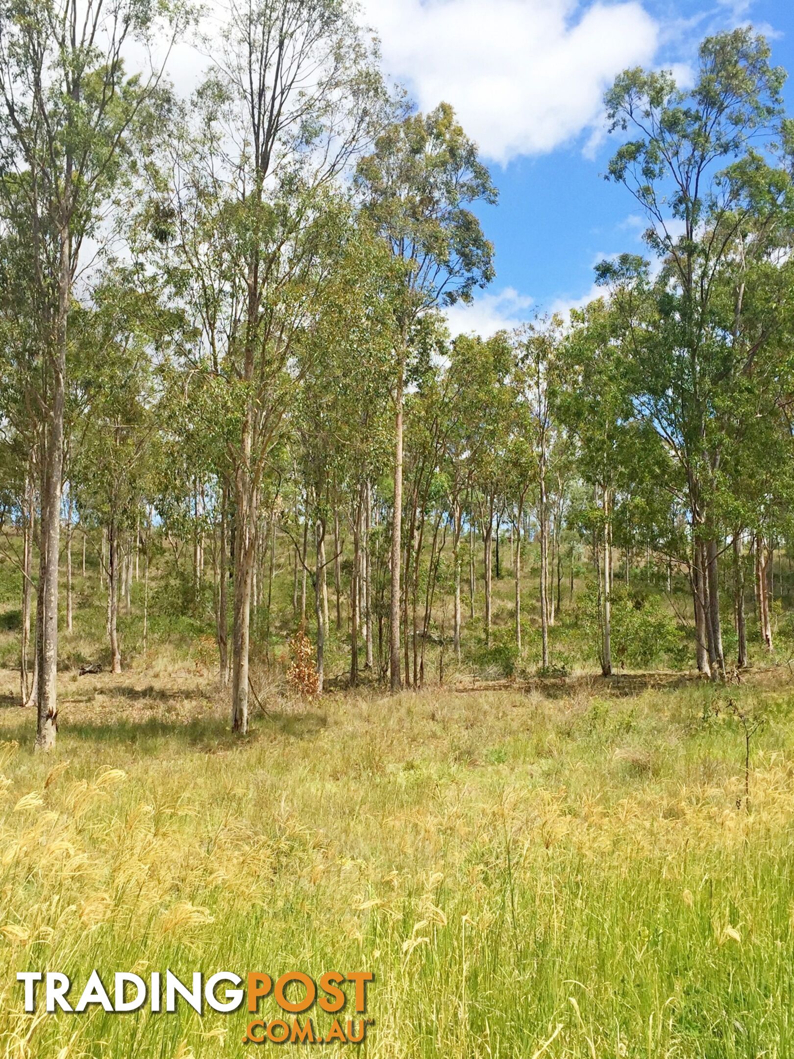 Lot PINNACLE RISE ESTATE/49-115 Green Gully Road UPPER LOCKYER QLD 4352