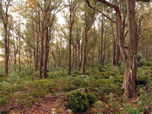 Victoria Valley Rd LONDON LAKES TAS 7140