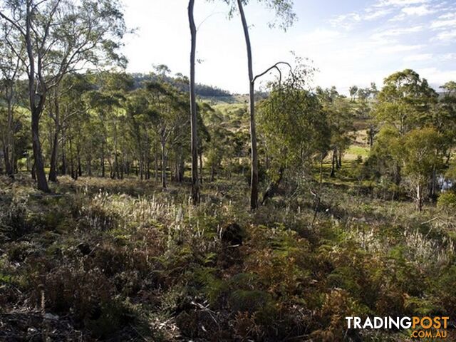 Lot 5 and 6/1190 Marked Tree Road HOLLOW TREE TAS 7140