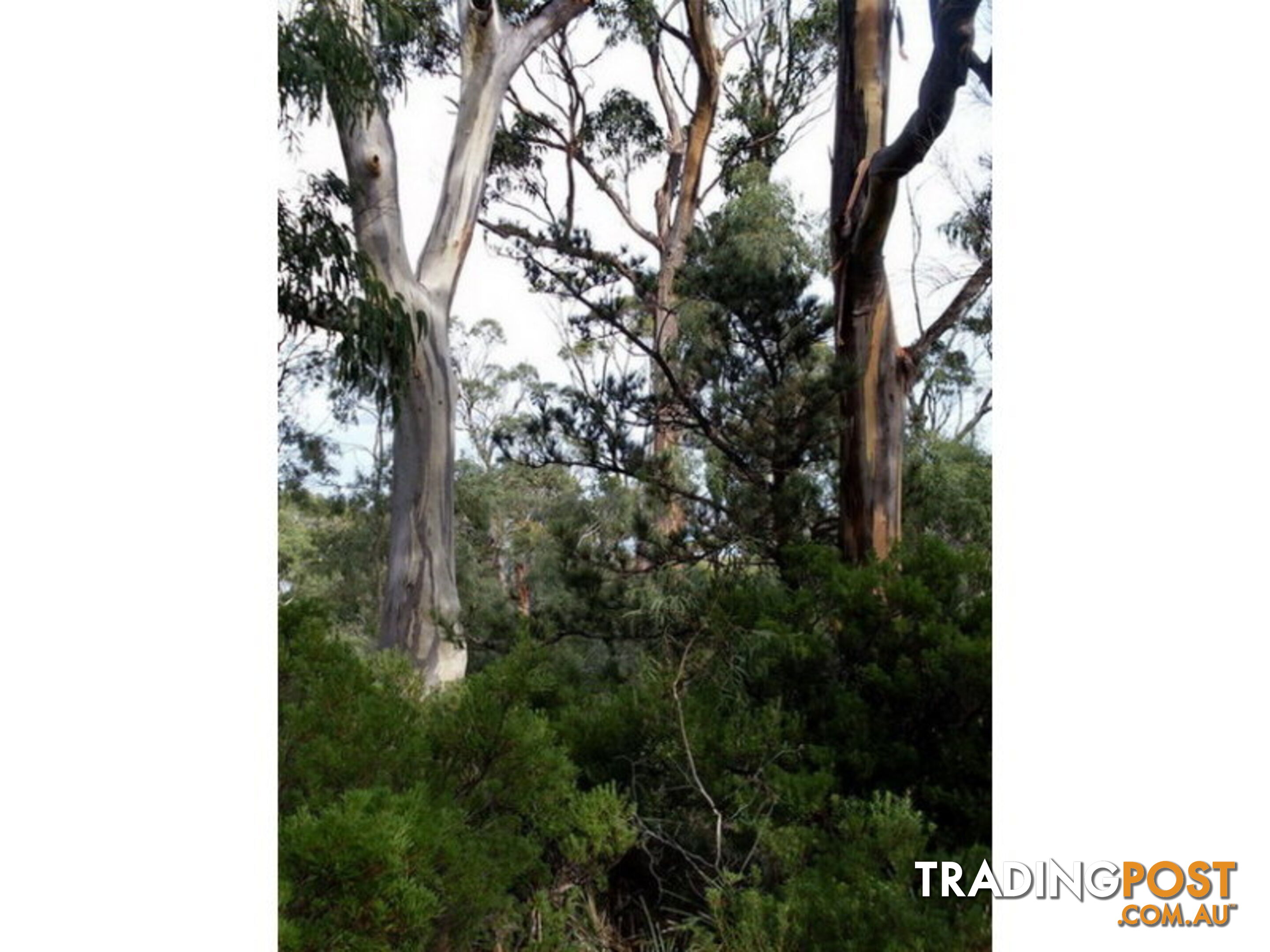 Roaring Beach Road NUBEENA TAS 7184