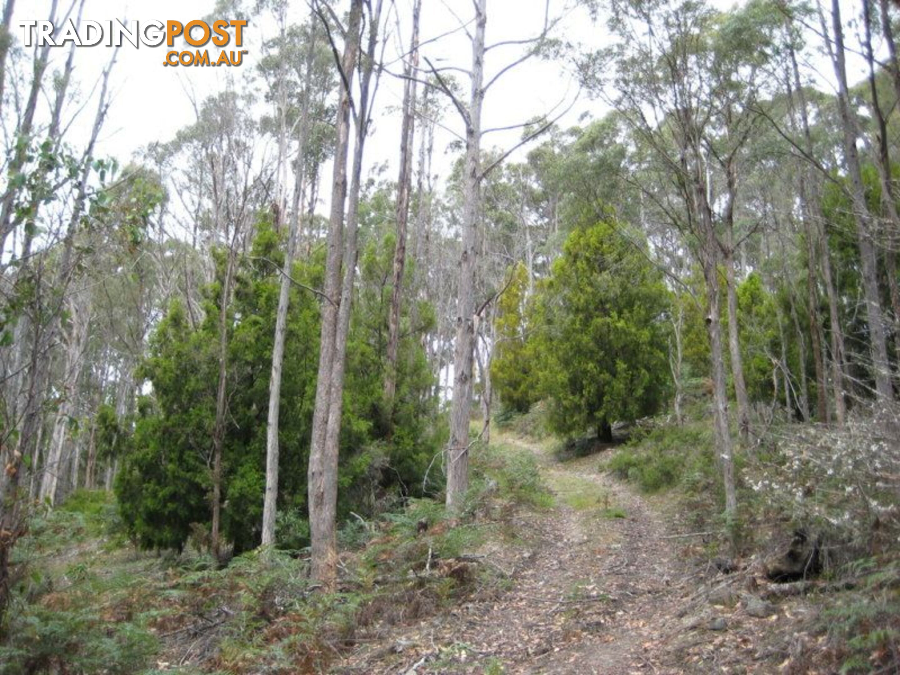 Gordon Riv Road NATIONAL PARK TAS 7140