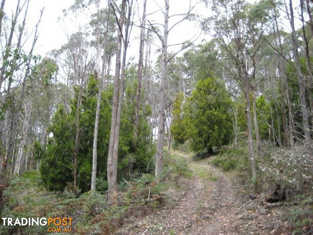 Gordon Riv Road NATIONAL PARK TAS 7140