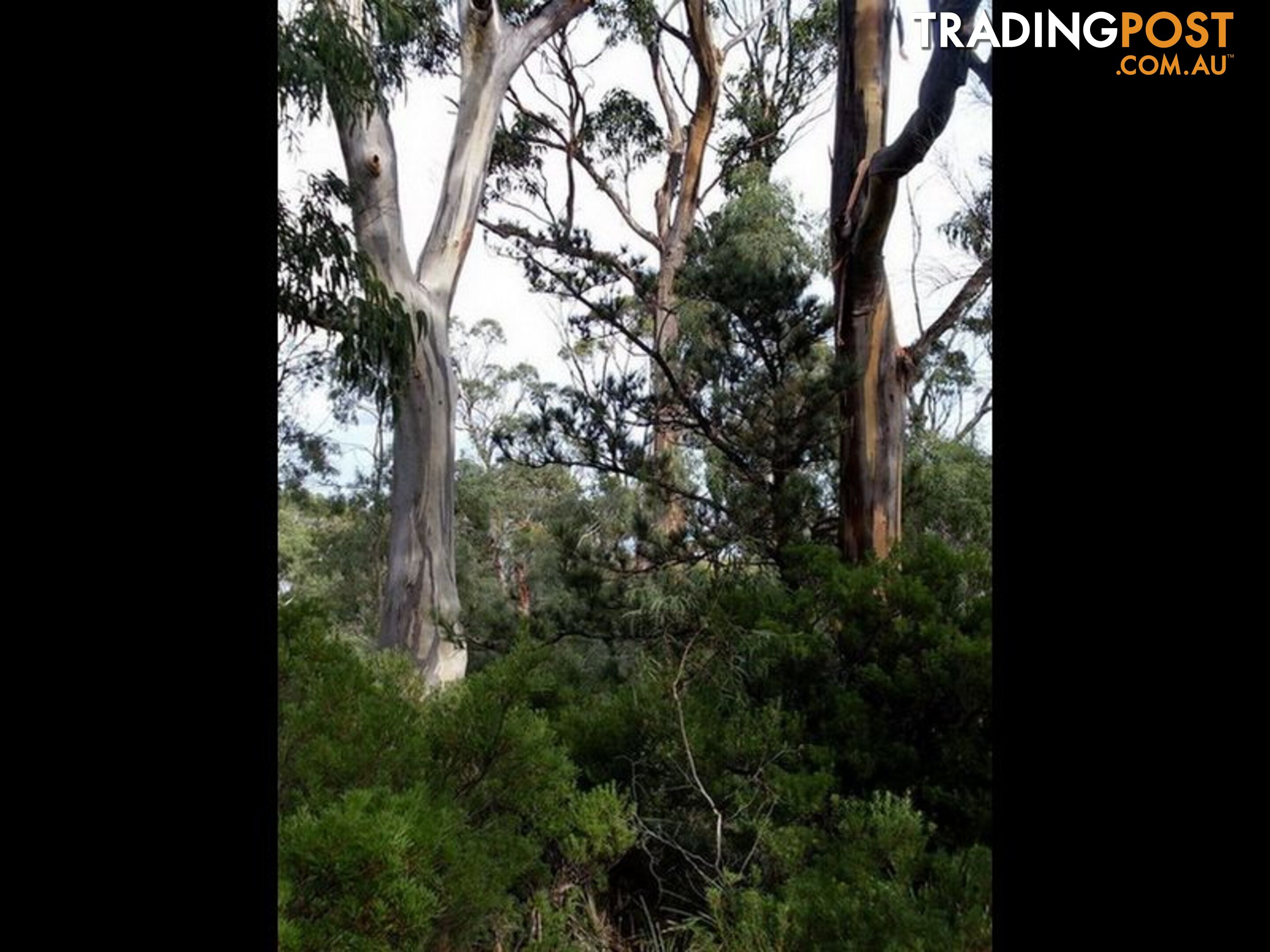 Roaring Beach Road NUBEENA TAS 7184