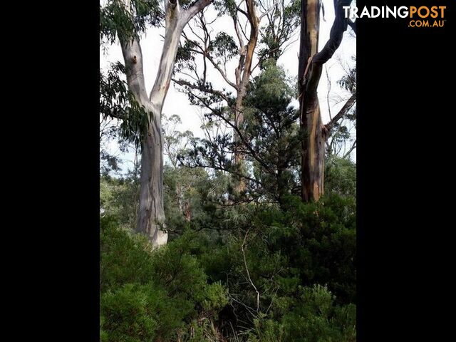 Roaring Beach Road NUBEENA TAS 7184