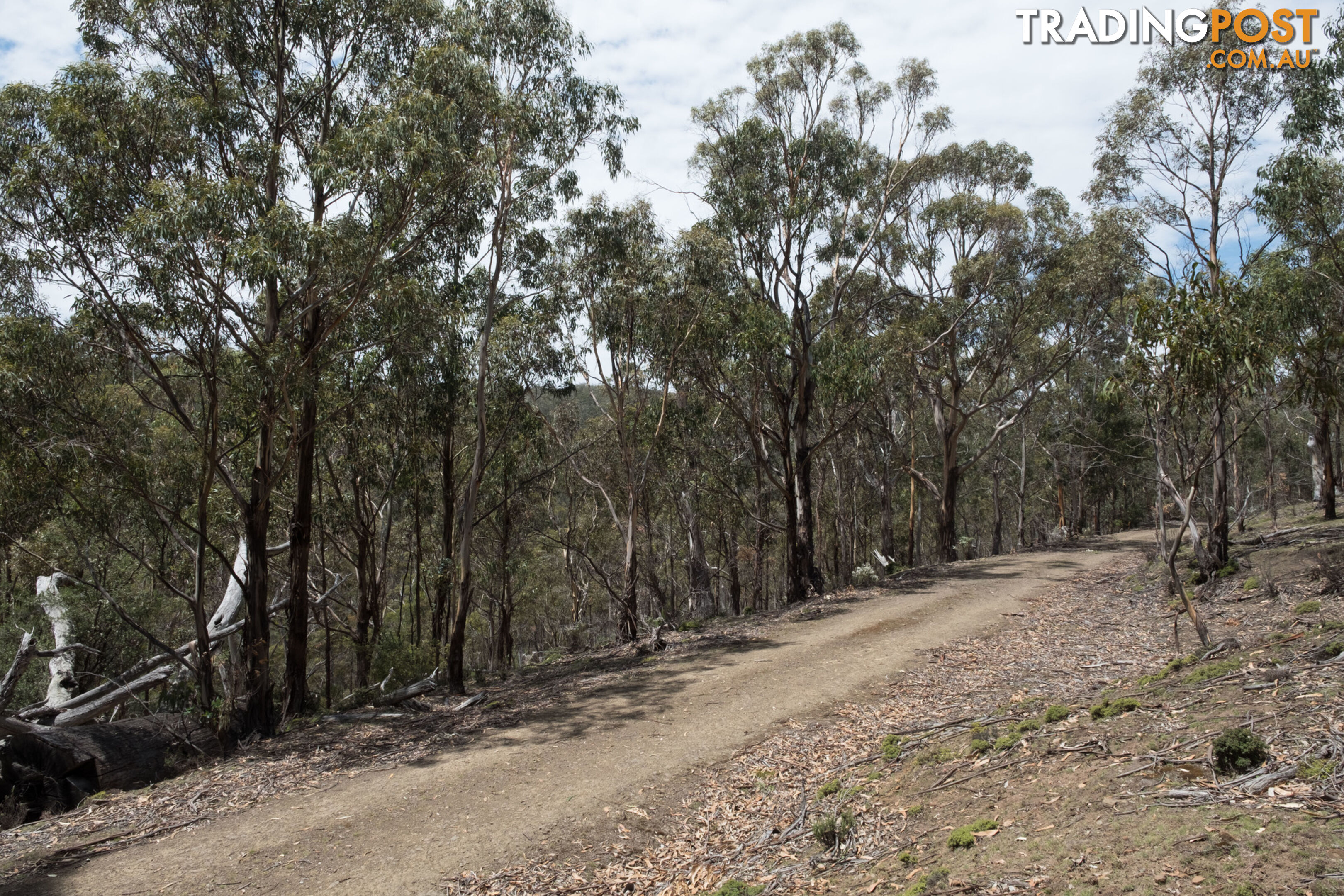 990/ Roaring Beach Road NUBEENA TAS 7184