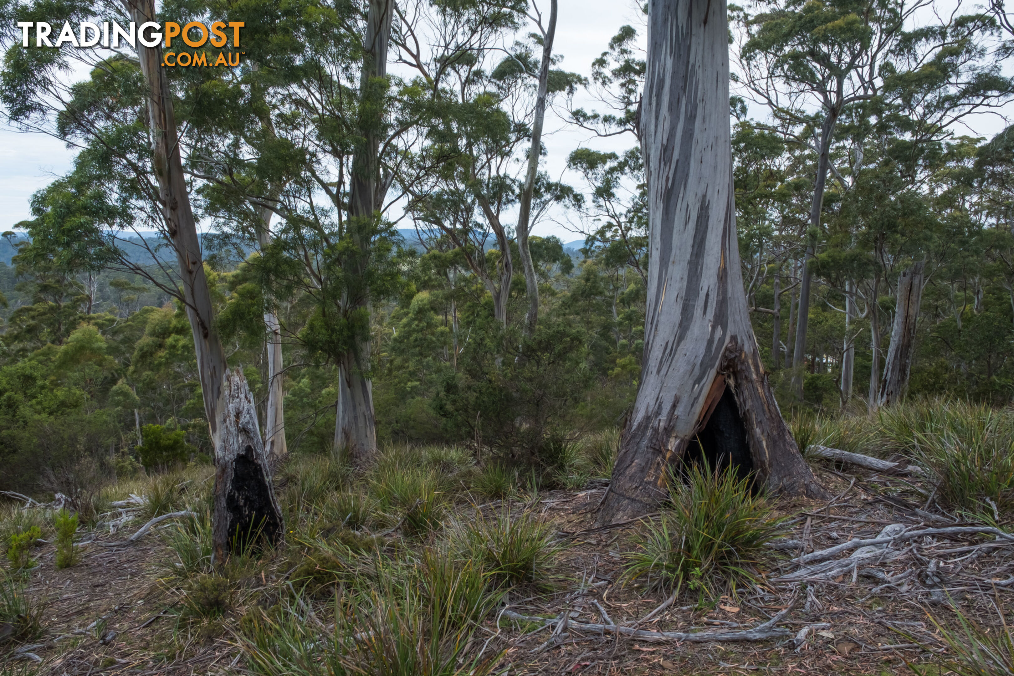 990/ Roaring Beach Road NUBEENA TAS 7184