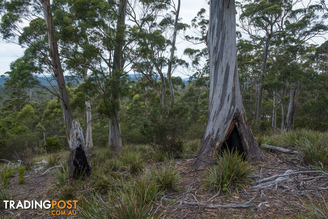 990/ Roaring Beach Road NUBEENA TAS 7184