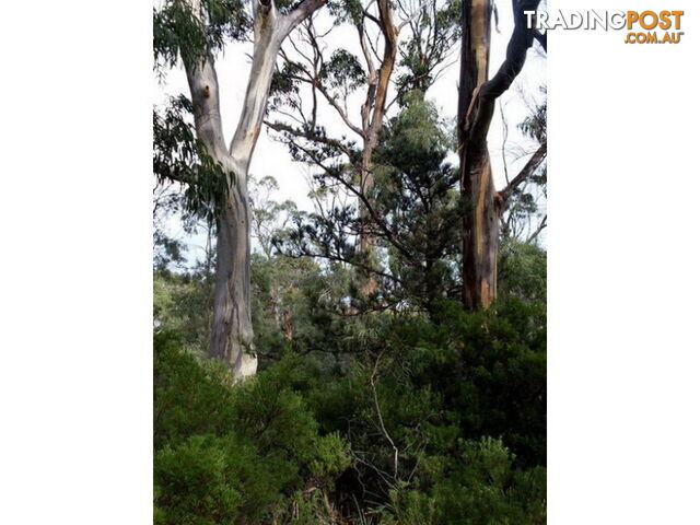 Roaring Beach Road NUBEENA TAS 7184