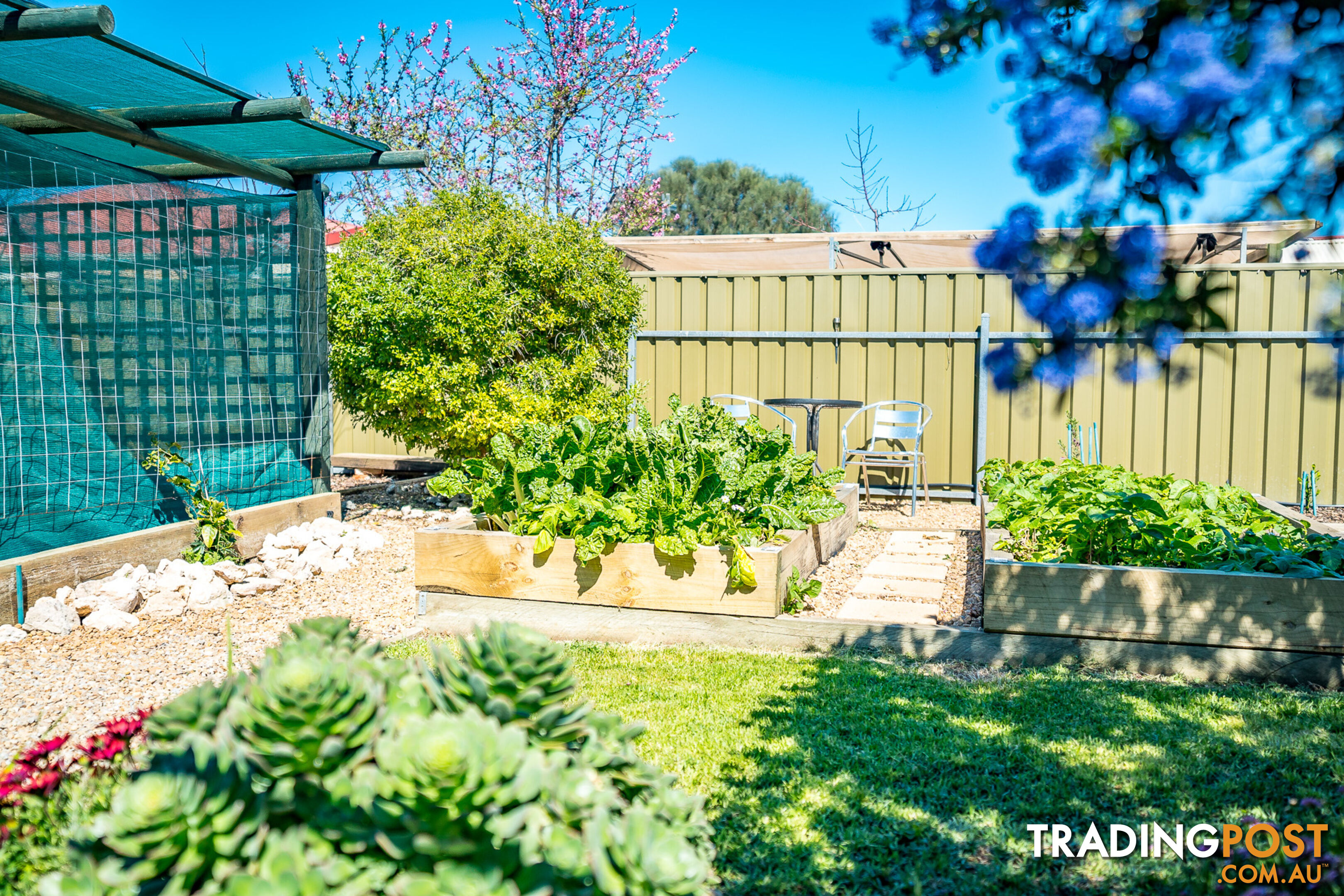 8 Ann Court Goolwa Beach SA 5214