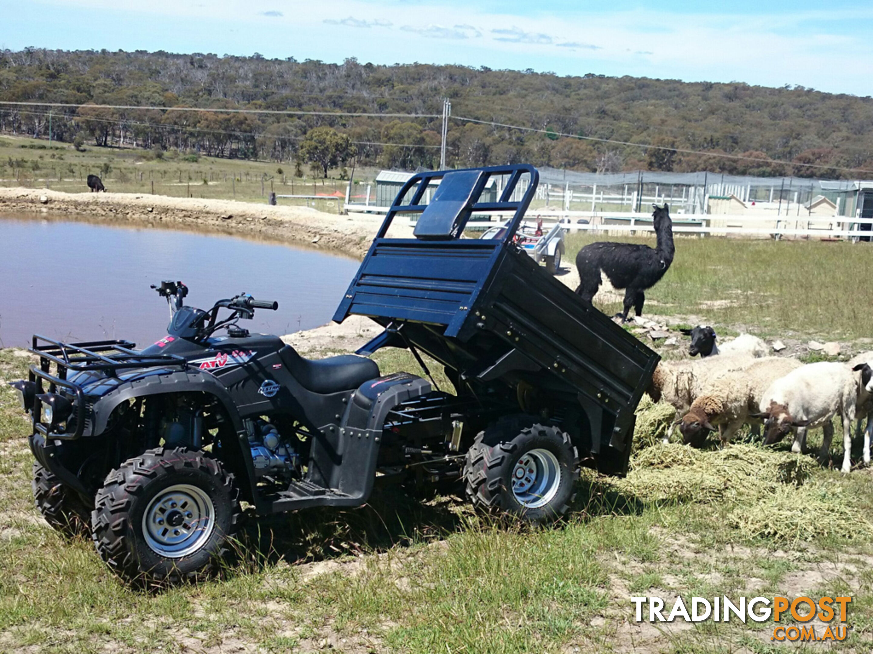 2016 ELSTAR CG250S AG BOSS - OPEN DIFF 250CC ADULT QUAD BIKE FARM ATV TILT TRAY