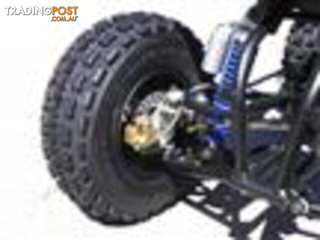 2019 ELSTAR EAE250S TANK 230CC ATV - photo 5 of 9