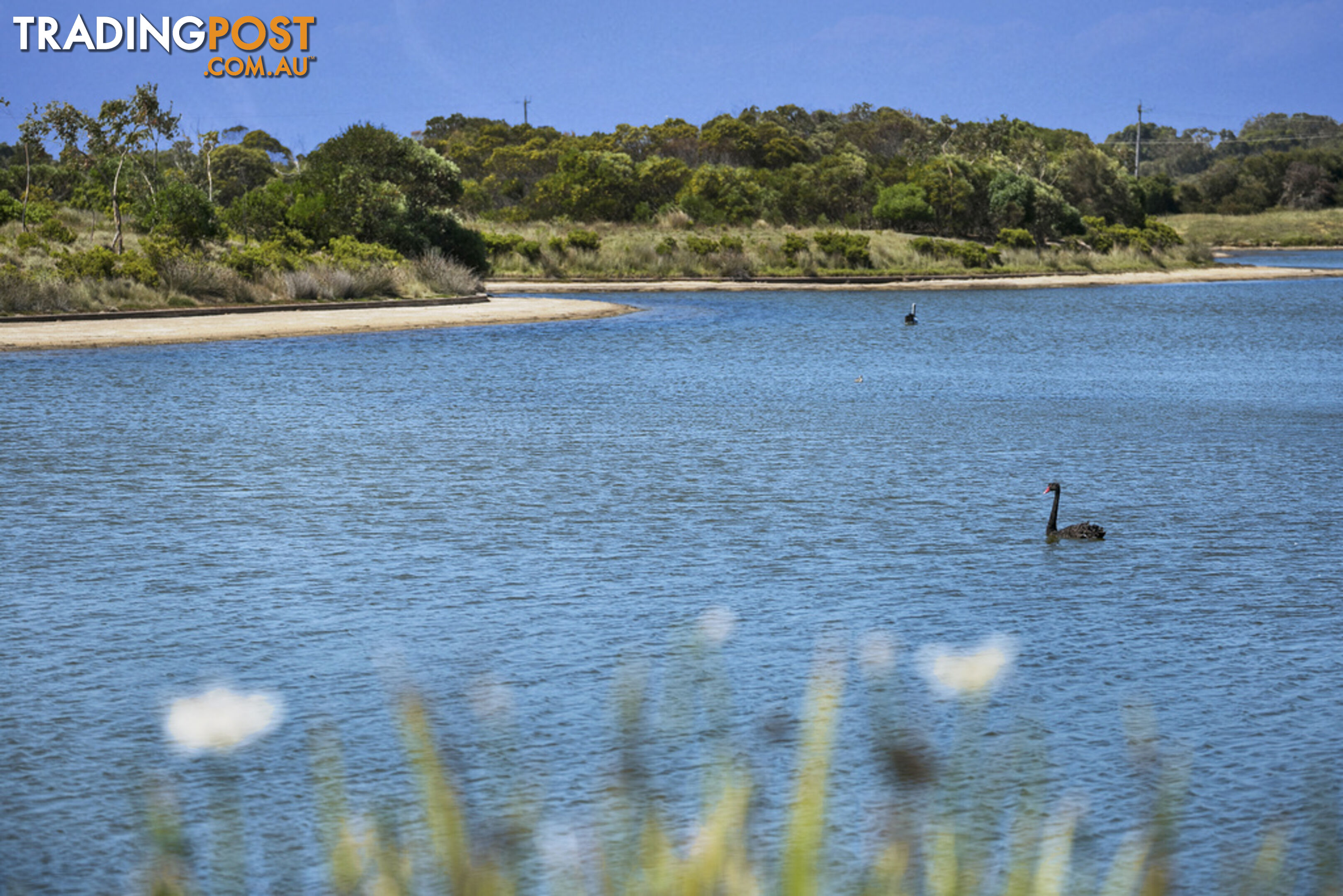 28 Cockle  Crescent POINT LONSDALE VIC 3225