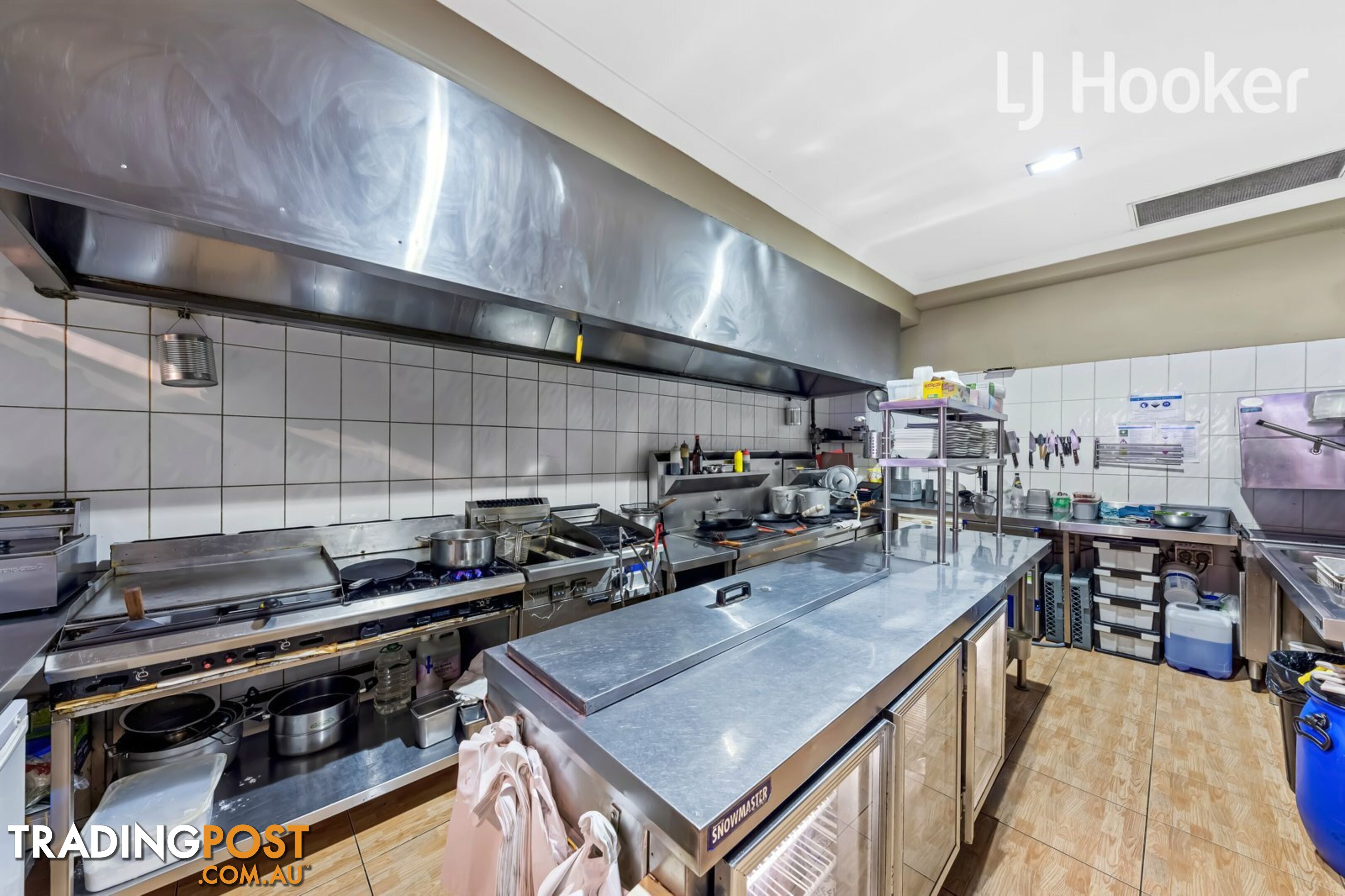 159 Tower St PANANIA NSW 2213