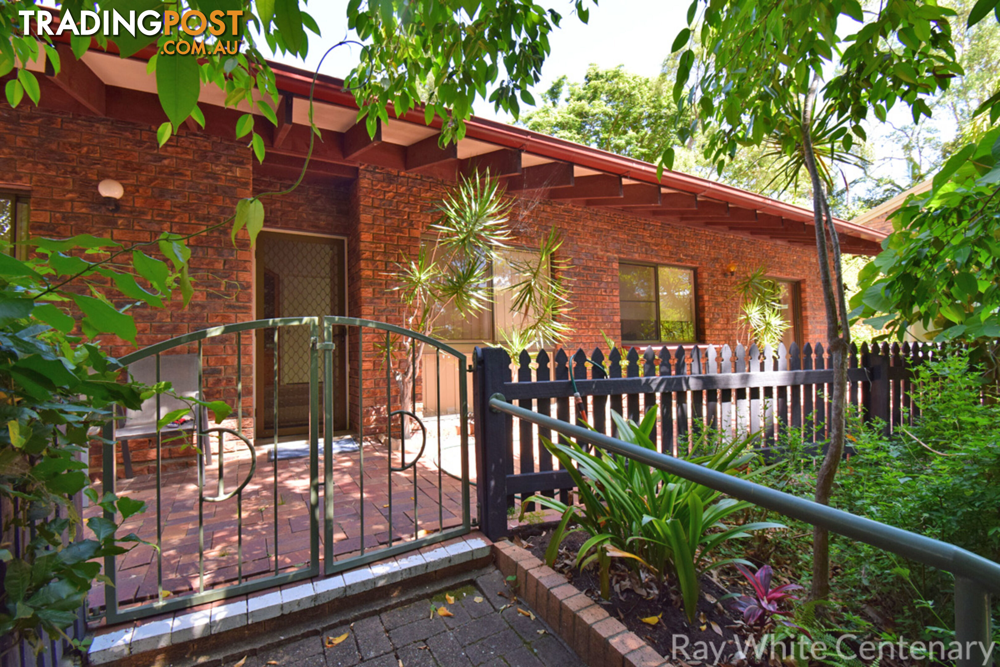 33 Burrumbuck Street CHAPEL HILL QLD 4069