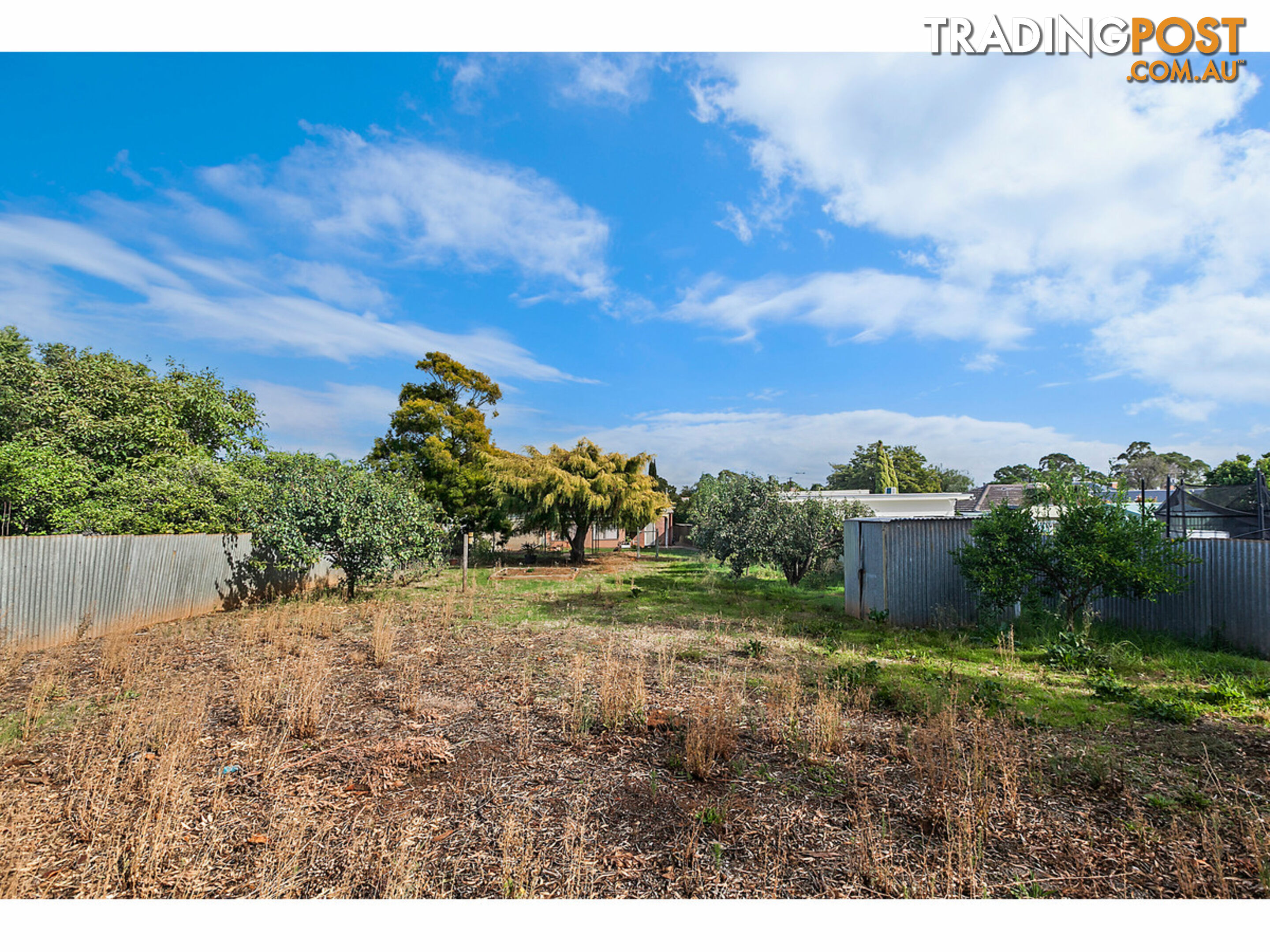 64 Briant Road MAGILL SA 5072