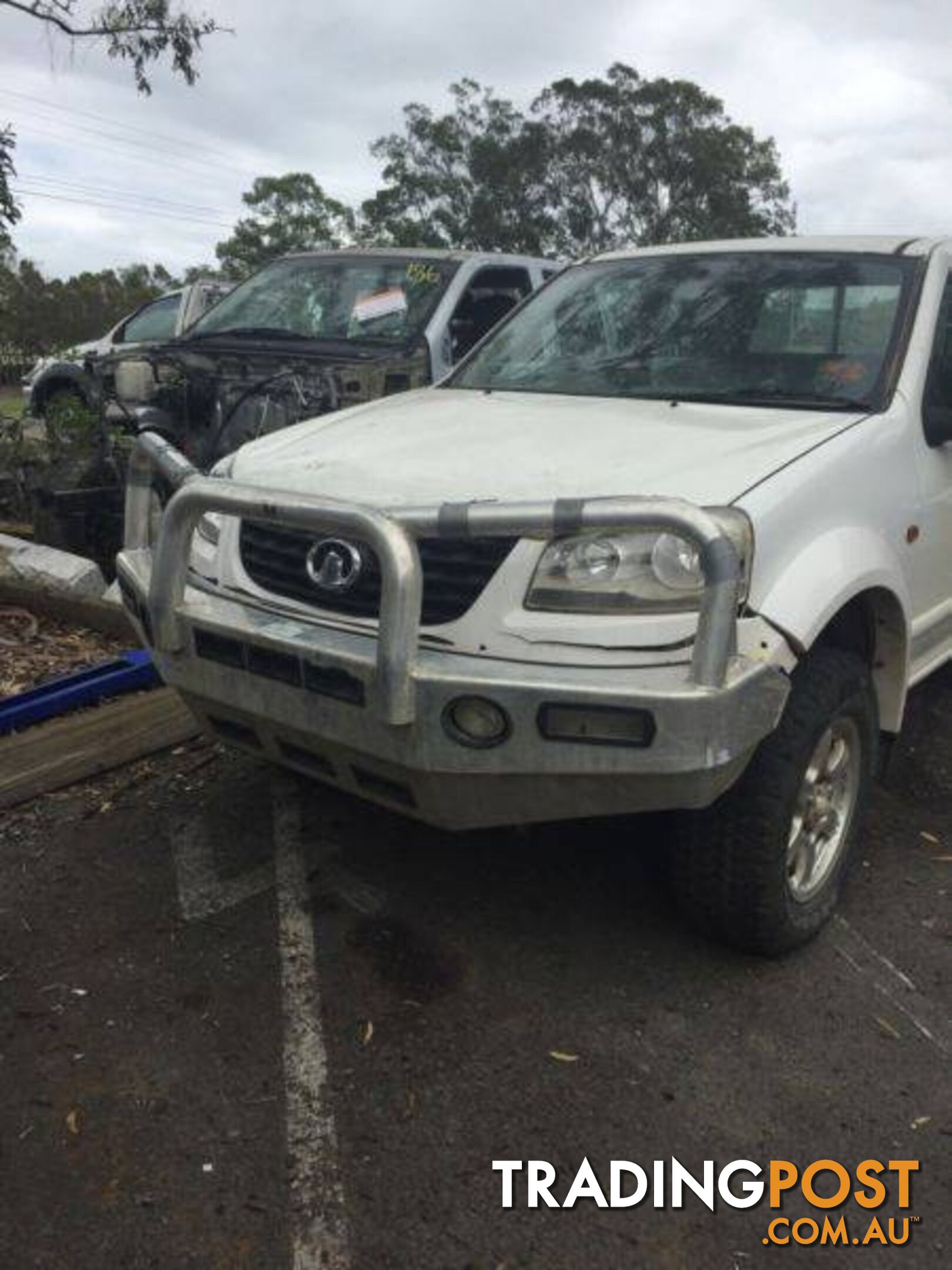 2011 Onward Greatwall V200 V240 Alloy Bullbar