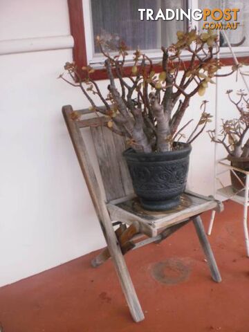 POT PLANTERS, POTS & VASE STANDS -- INDOOR, OUTDOOR - photo 2 of 10
